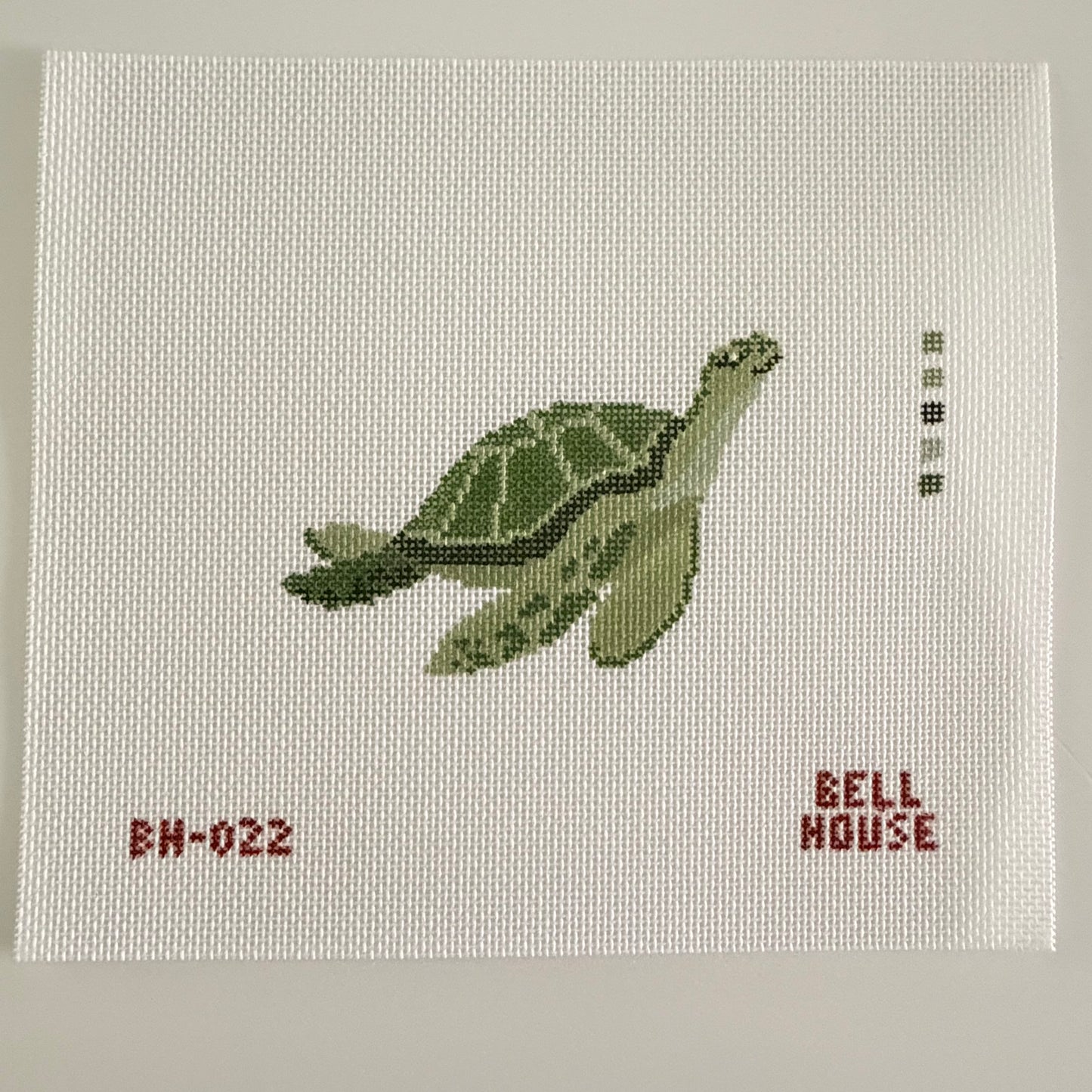 Sea Turtle