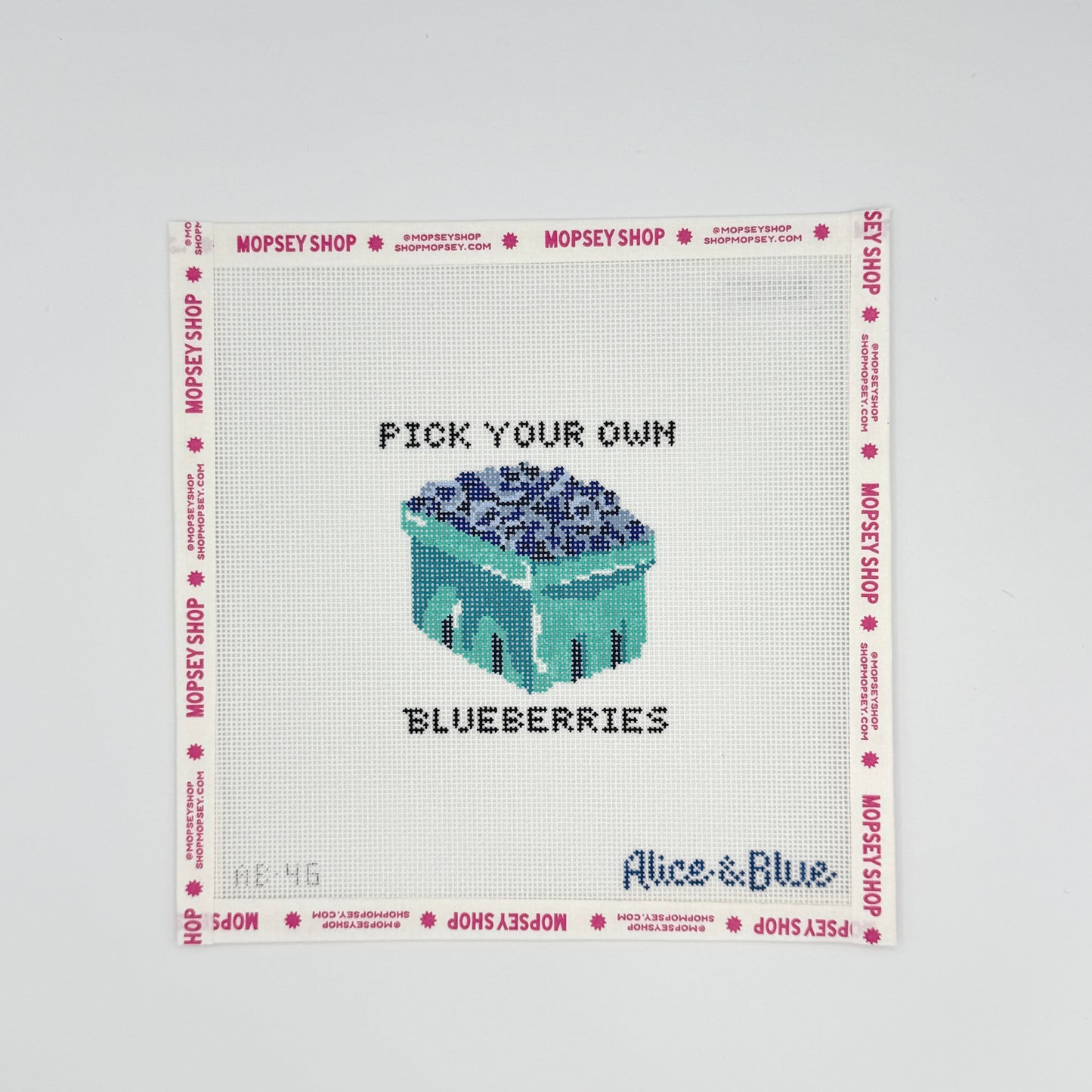 Pick Your Own Blueberries