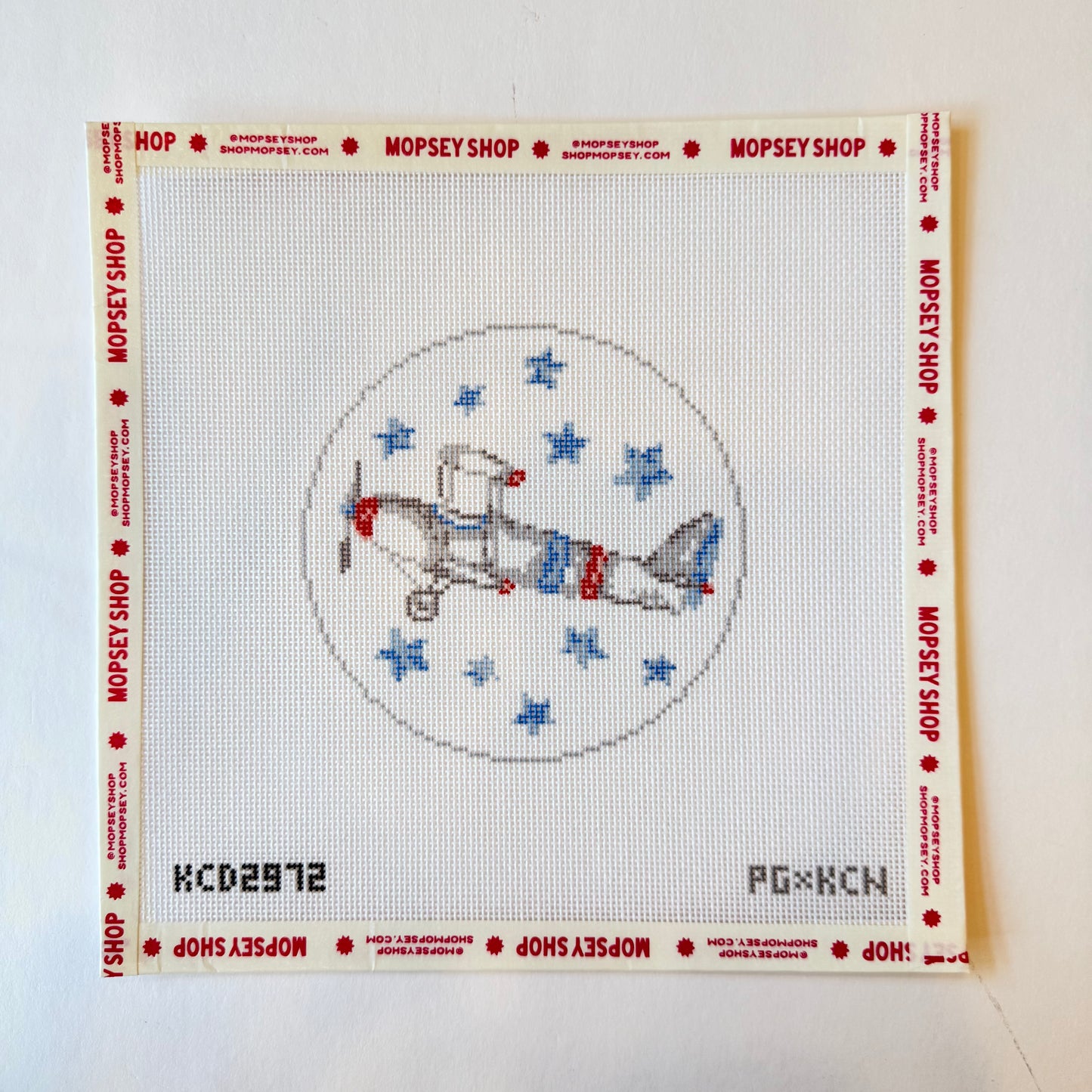 Biplane with Stars