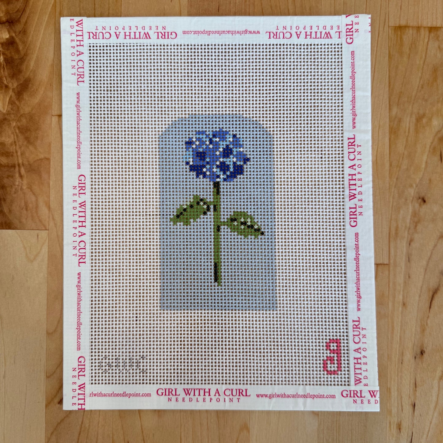 Blue Hydrangea