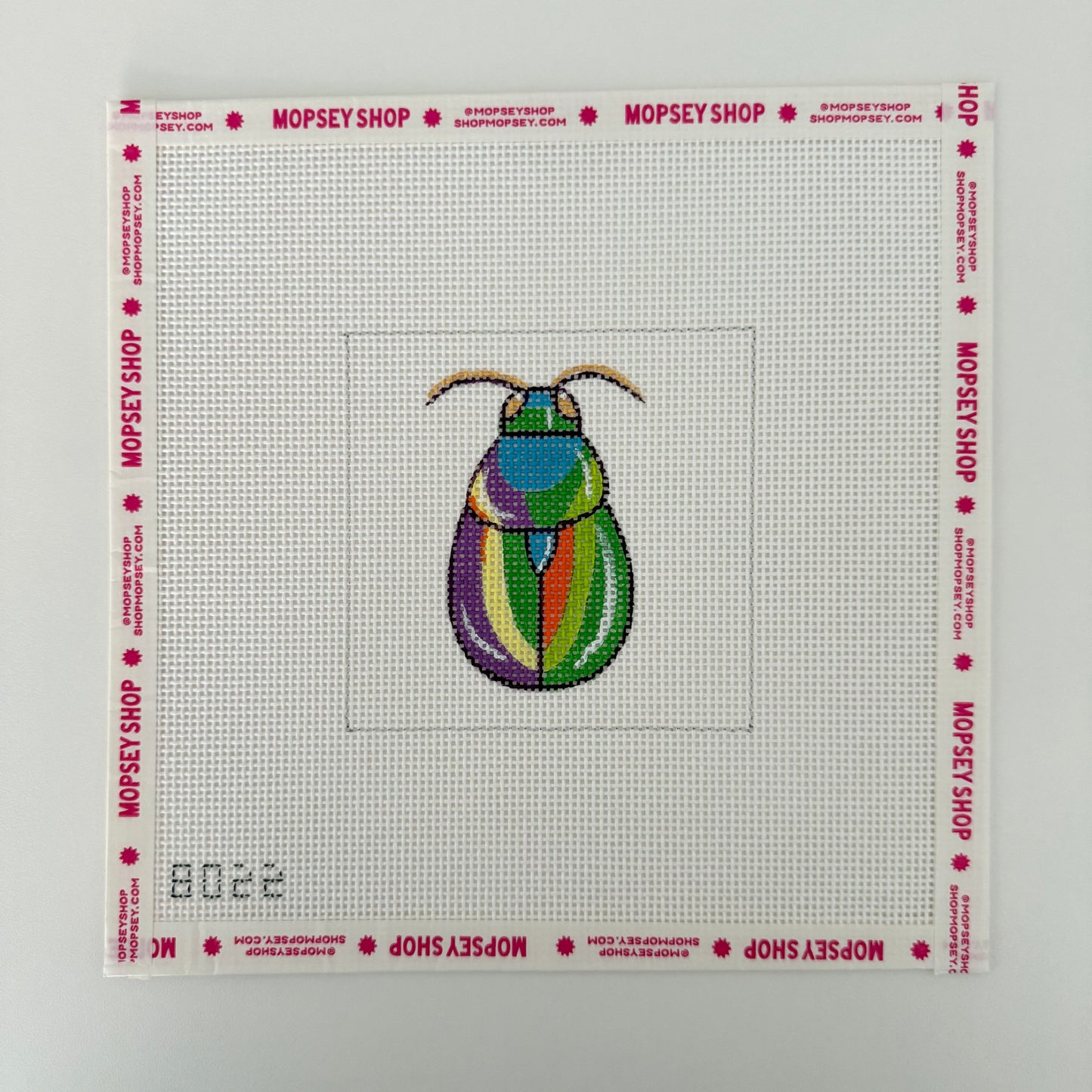Rainbow Beetle