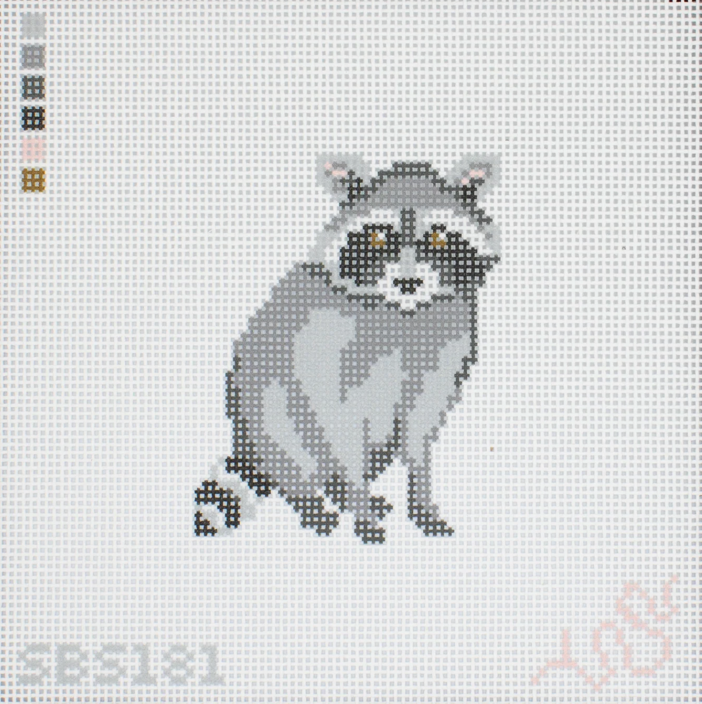 Baby Raccoon