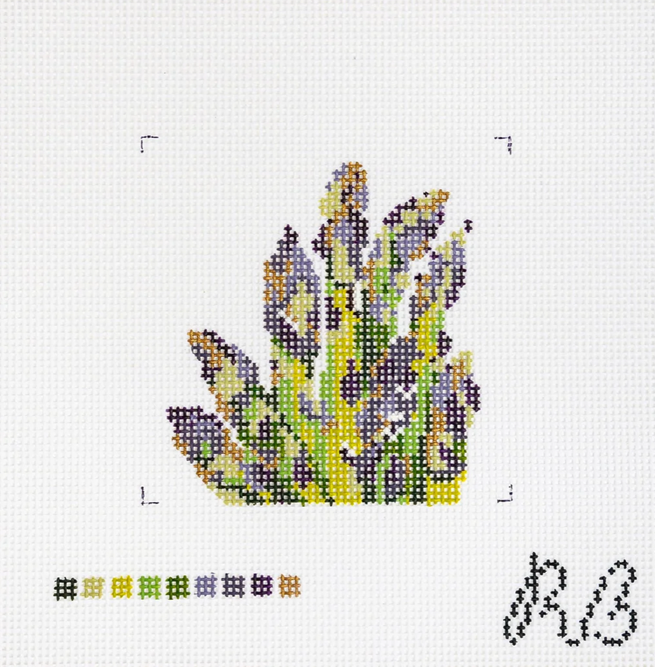Bronze Asparagus