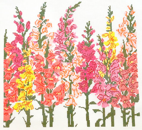 Snapdragons