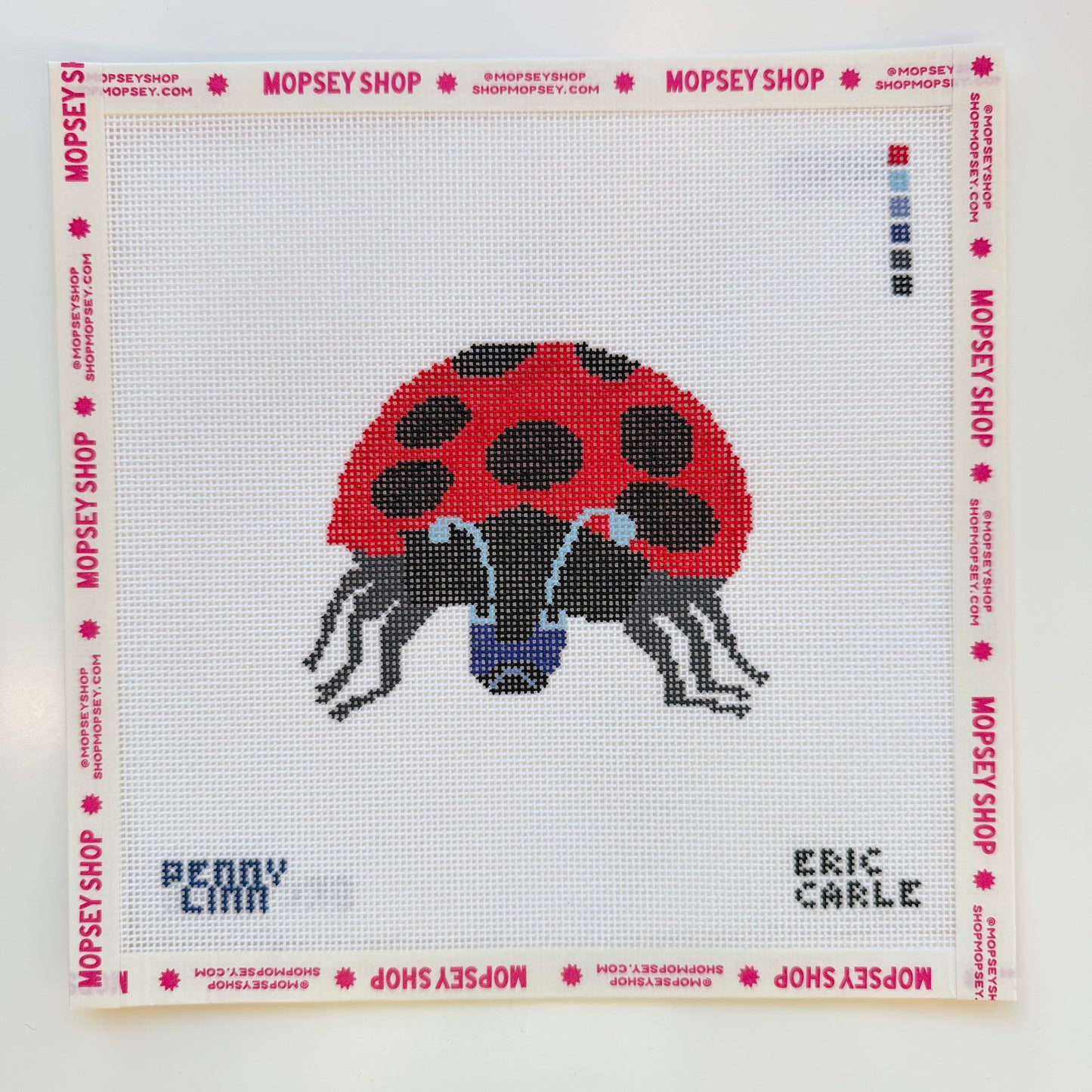 The Grouchy Ladybug
