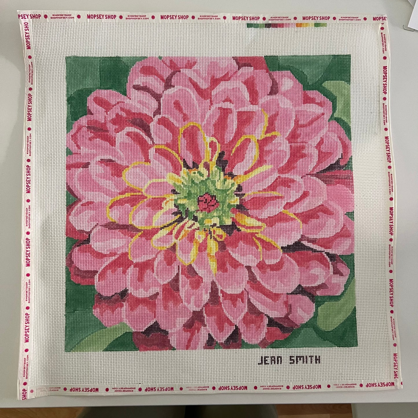 Fabulous Pink Dahlia