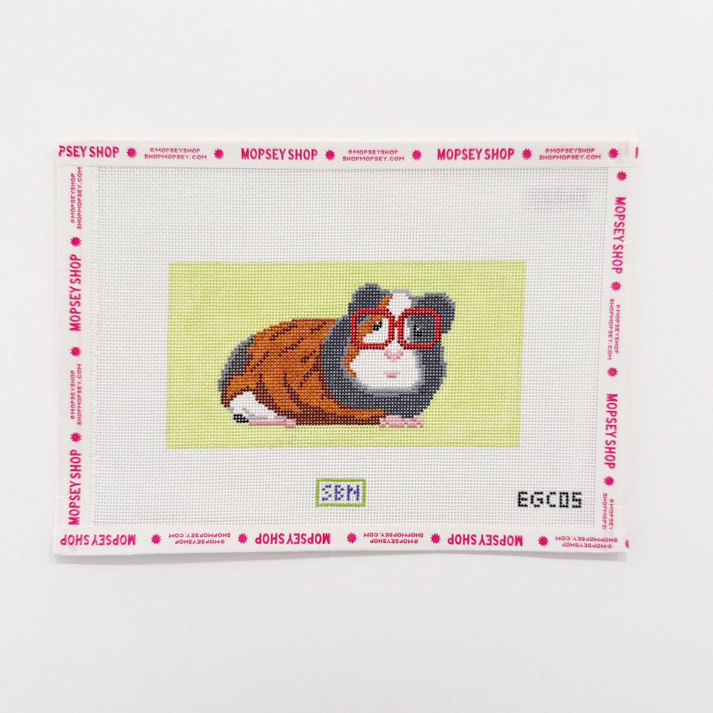 Guinea Pig with Glasses