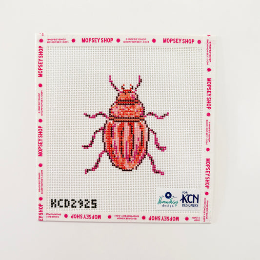 Pink Beetle