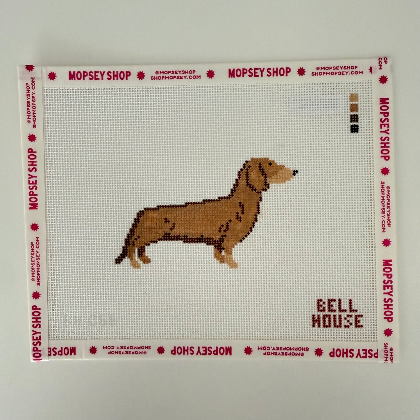 Dachsund