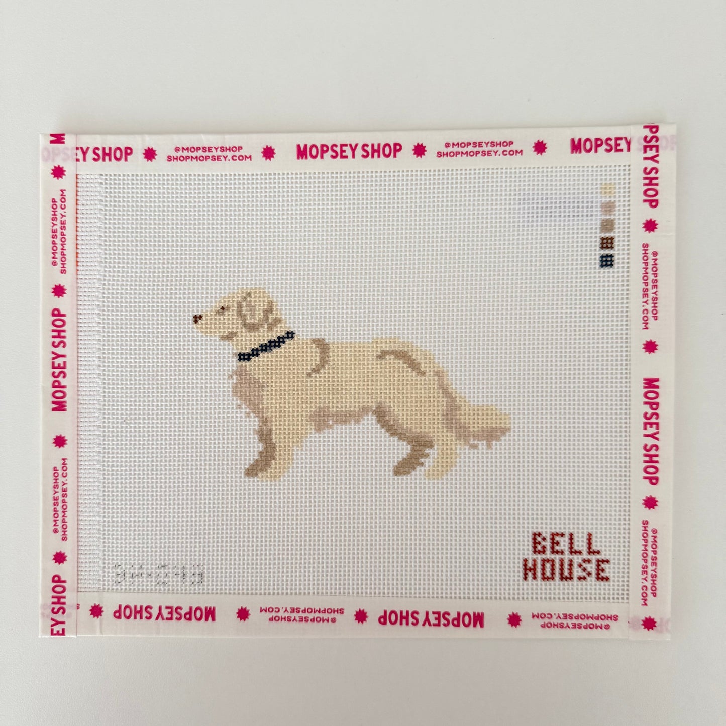 English Cream Gold Retriever