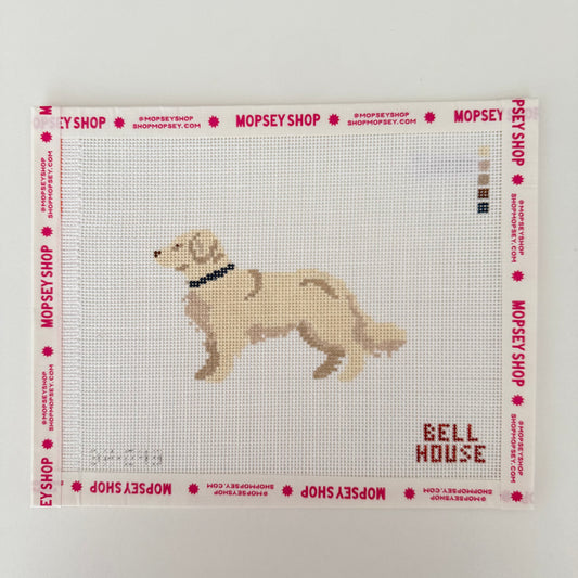 English Cream Gold Retriever