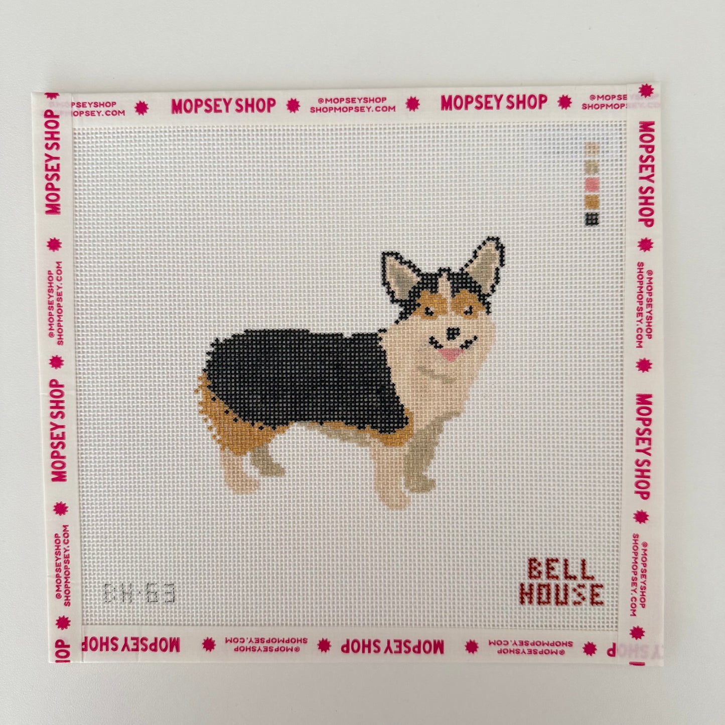 Tricolor Corgi