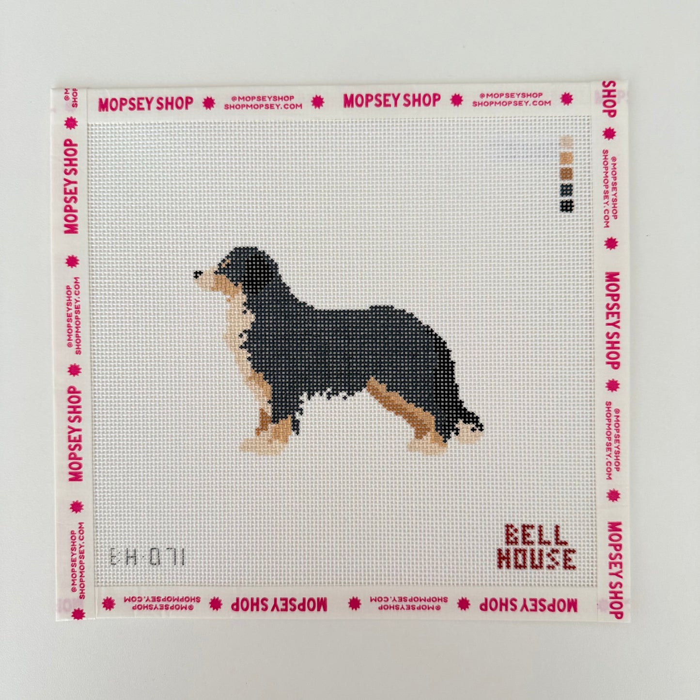 Bernese Mountain Dog