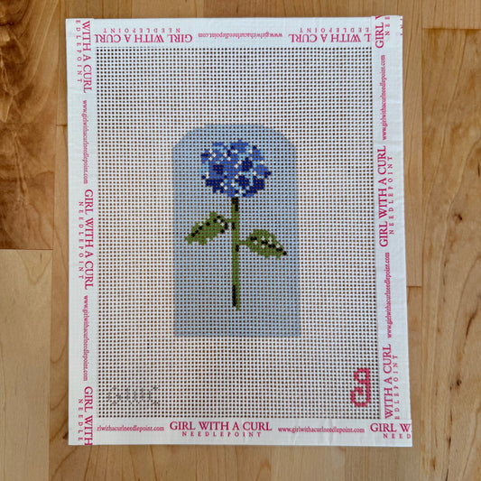 Blue Hydrangea