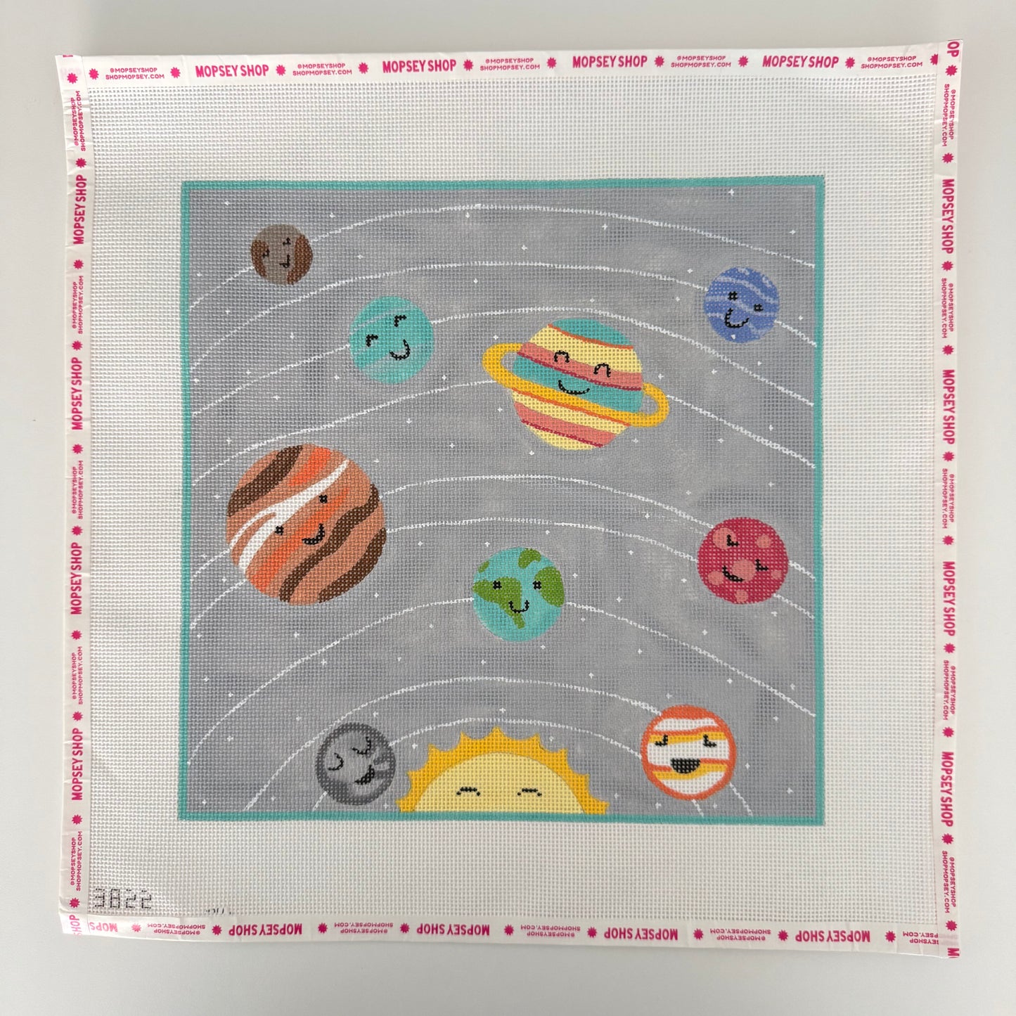 Outer Space Pillow