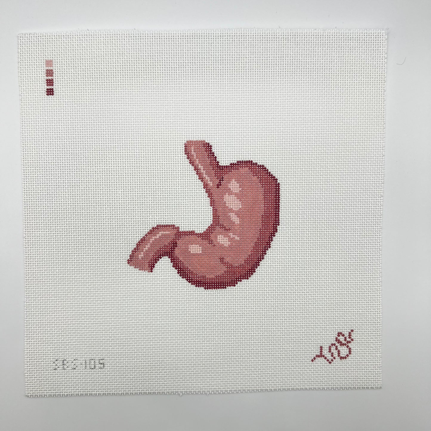 Stomach