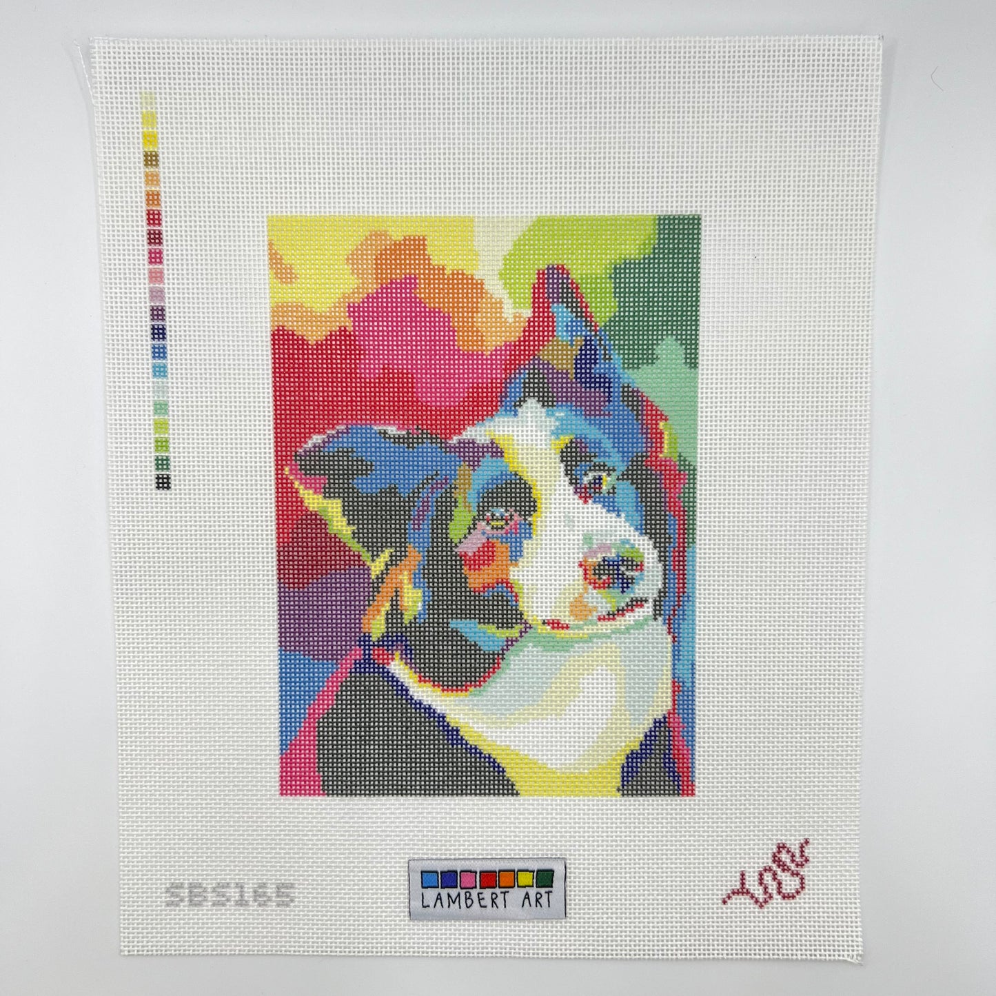 CL Border Collie