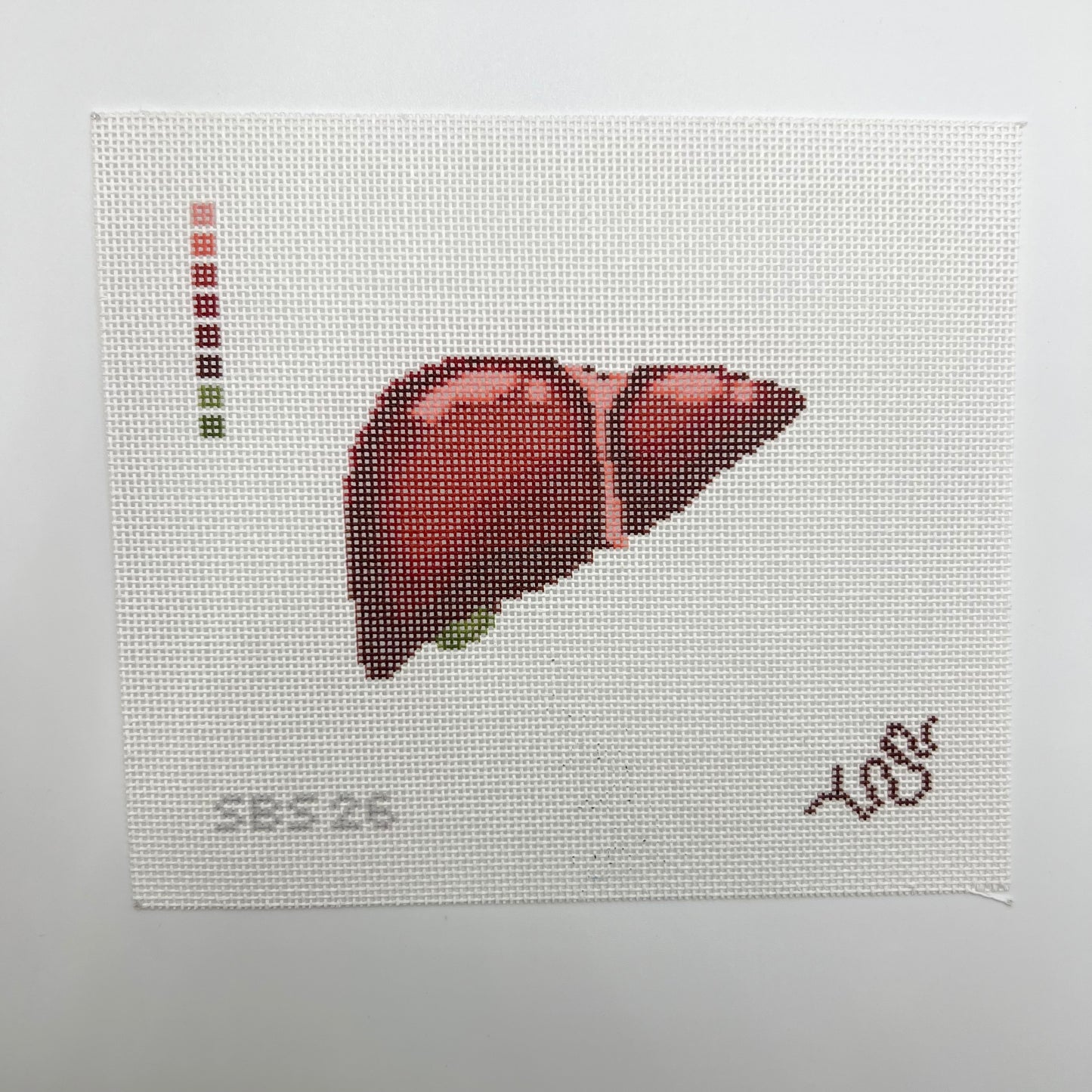 Anatomical Liver