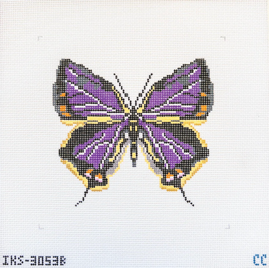 Colorado Butterfly