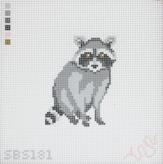 Baby Raccoon