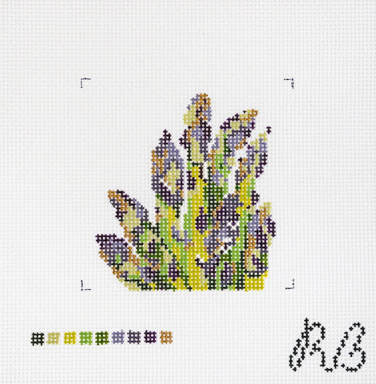 Bronze Asparagus