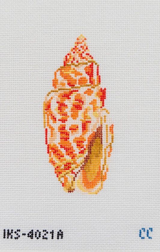 Miter Seashell