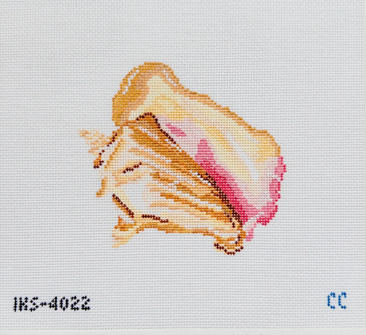 Queen Conch
