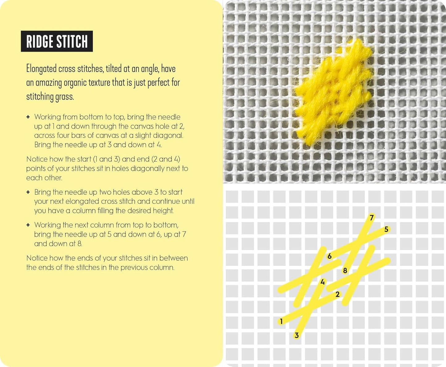 Next-Level Needlepoint in 50 Cards